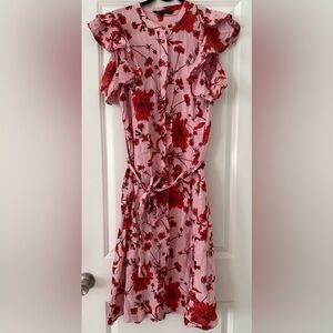 Zara Pink and Red Floral Dress